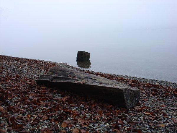 Früher am Morgen, Der See verschwamm im Nebel, Tropfen auf Blättern